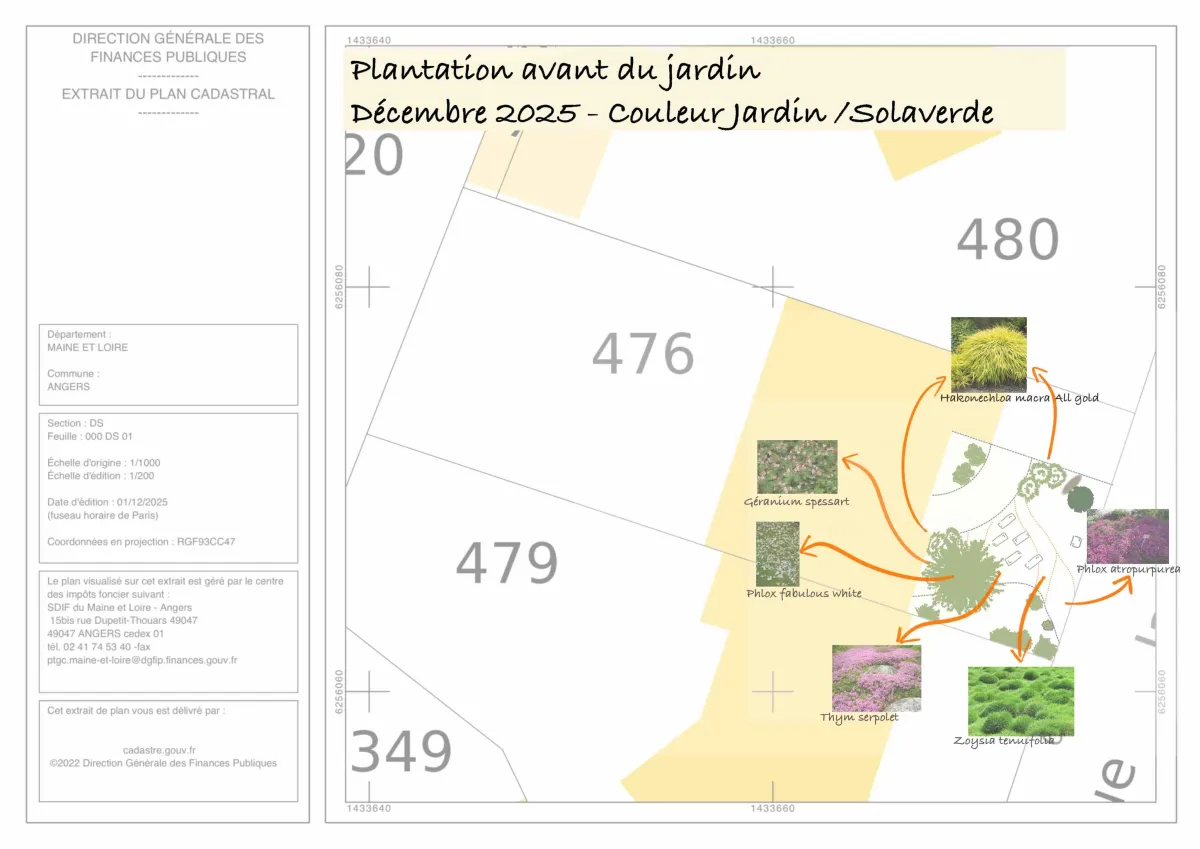 Plan de plantation pour un jardin à Angers