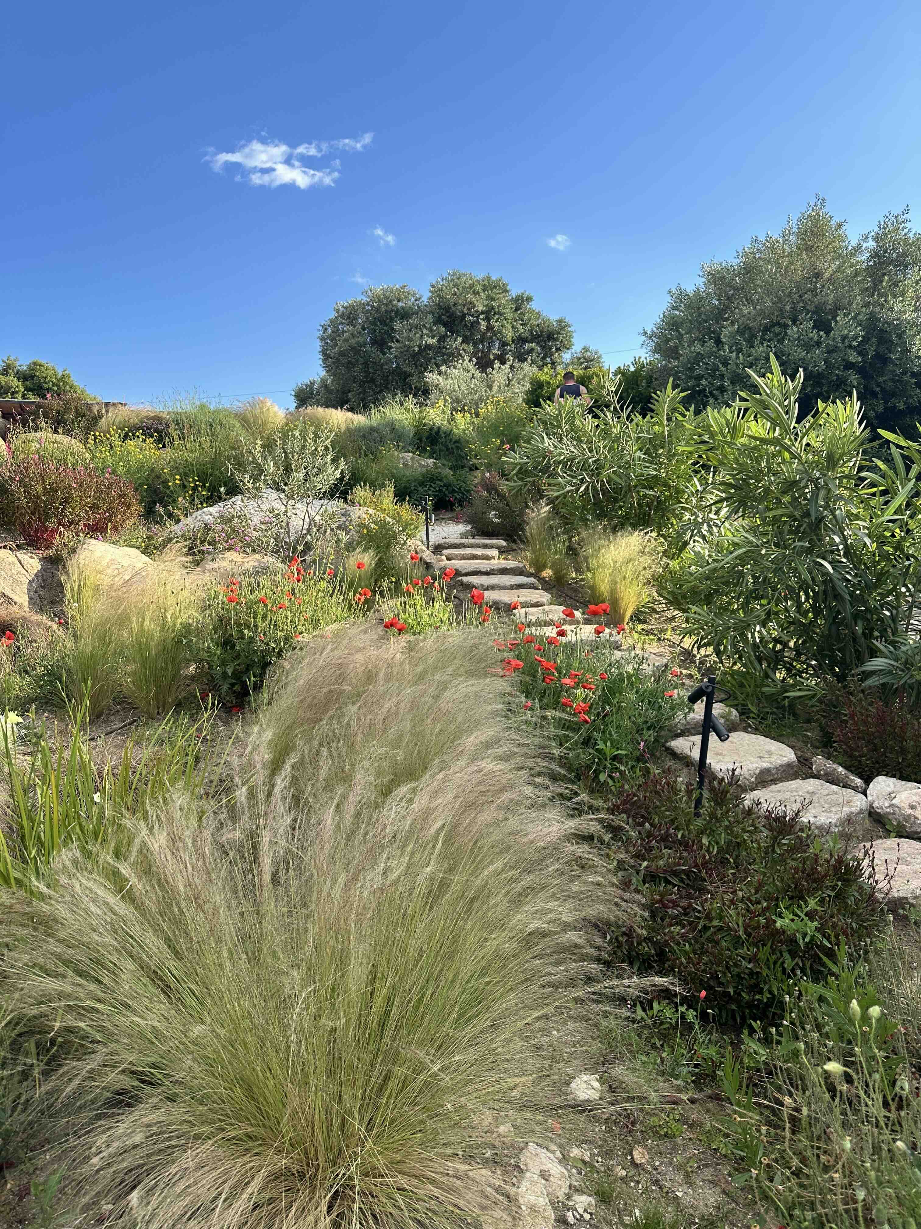 Jardin entretenu par Solaverde à Bonifacio